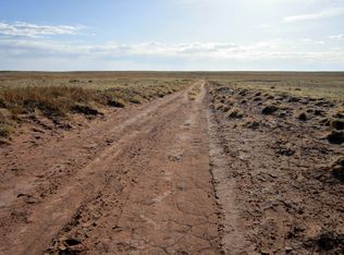 Wild Horse, Holbrook, AZ 86025