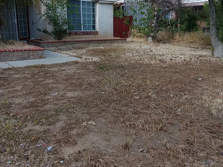 1715 Boysenberry Way — Photo 4