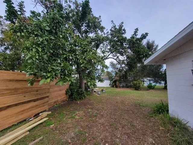 Backyard