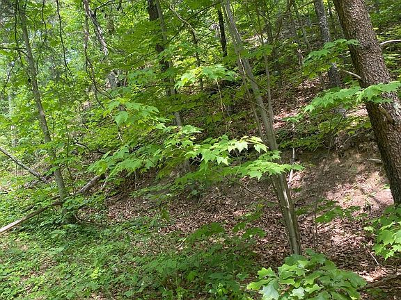 2nd image of 31 High St Lot 31