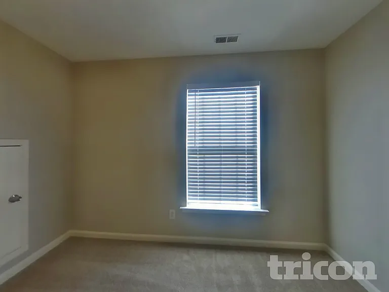 166 Cobbler Cove Dr — Photo 11