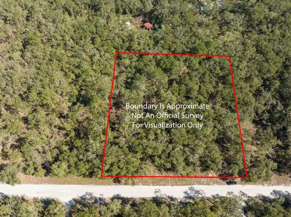 0 NE Hollywood Blvd, Mayo, FL 32066