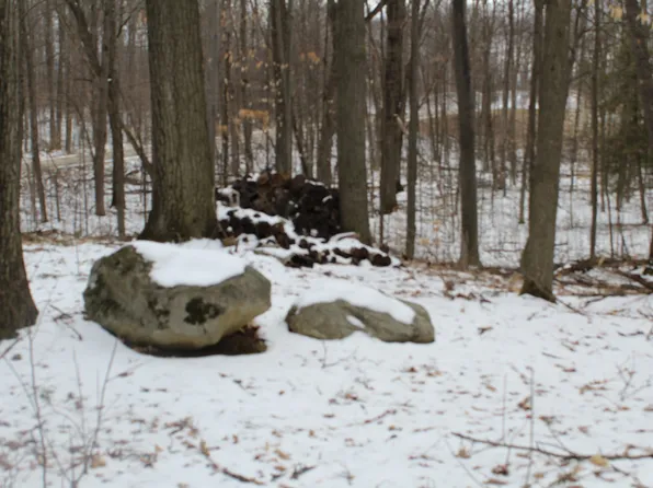 Rogers Rd, Fairview, MI 48621