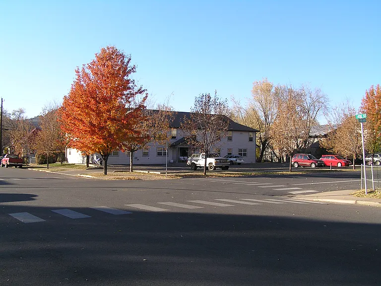 Beautiful Fall