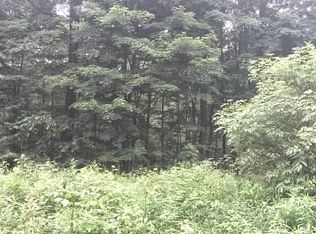 Kansas Branch Road - Vacant Land, Duke Center, PA 16729