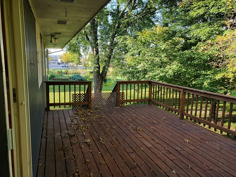 2117 Fern Ln — Photo 15
