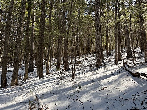 4th image of 00 Hodgdon Road