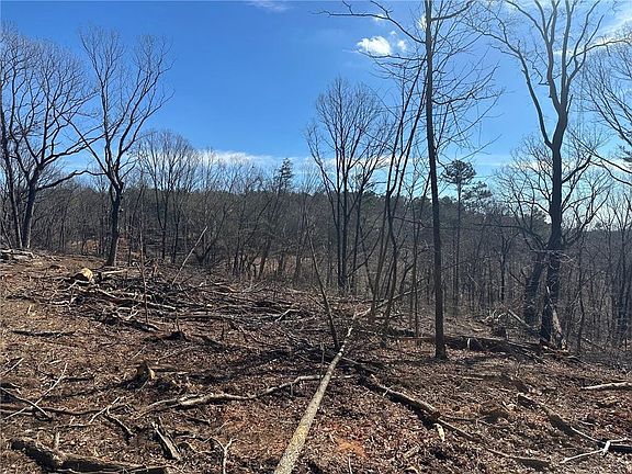 2nd image of 600 Chapman Ridge Ln