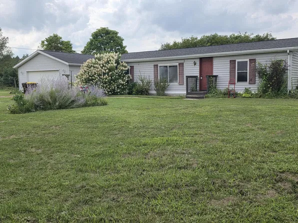 8669 Meadow Vista Dr, Saranac, MI 48881