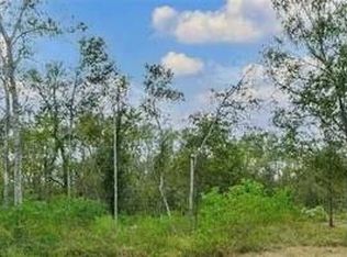 20687 Live Oak Dr, Damon, TX 77430