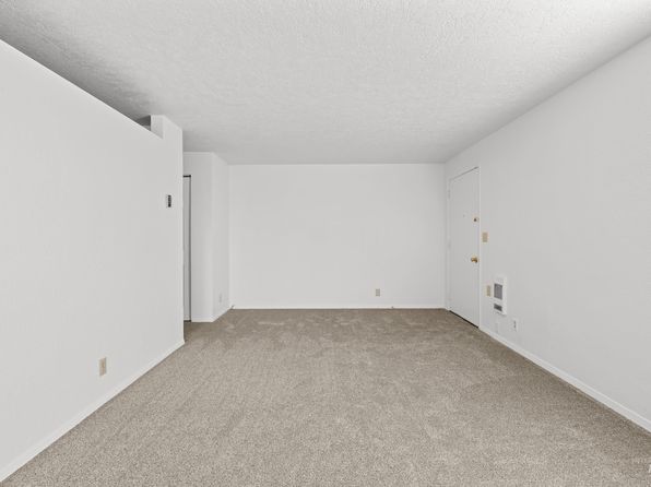 boise-idaho-79643033 picture