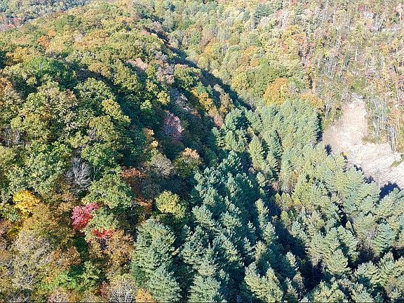 3rd image of Tbd Orby Cantrell Hwy