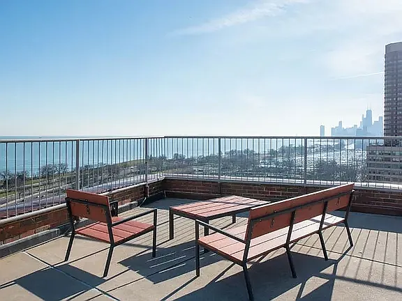 3100 N Lake Shore Dr #1212 — Photo 21