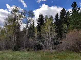 Lot 11, Witter Gulch Road, Evergreen, CO 80439