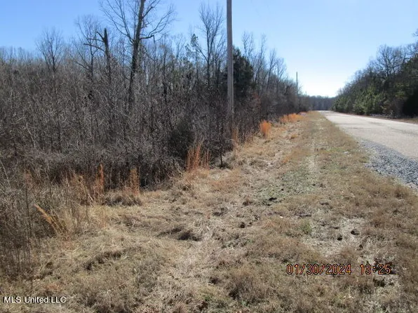 12 Forest Ridge Cv, Sarah, MS 38665