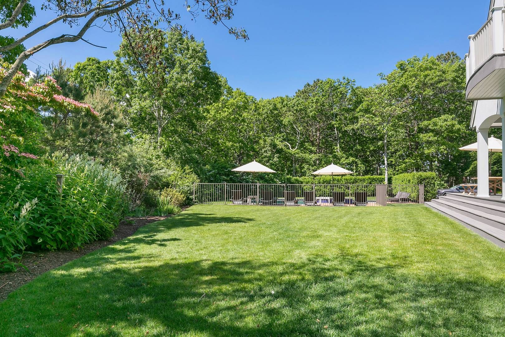  Luscious backyard 