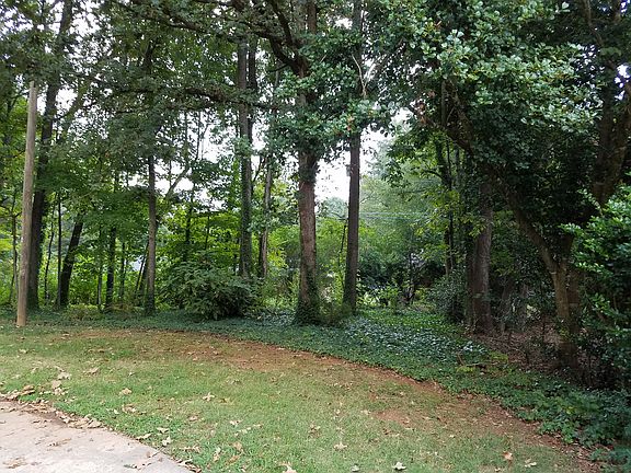 Huge Private back yard