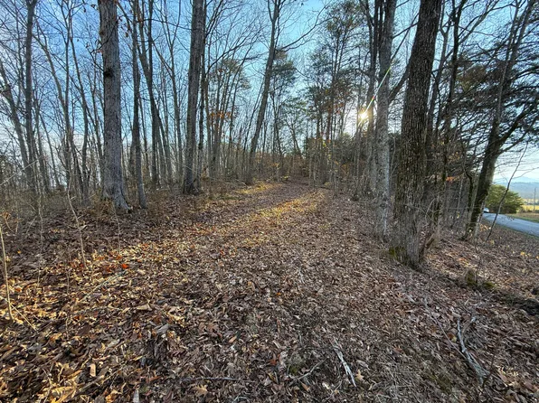 Red Hill Rd, Newport, TN 37821