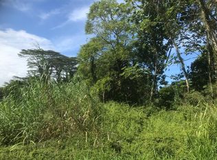 Kahakai Blvd LOT 22, Pahoa, HI 96778