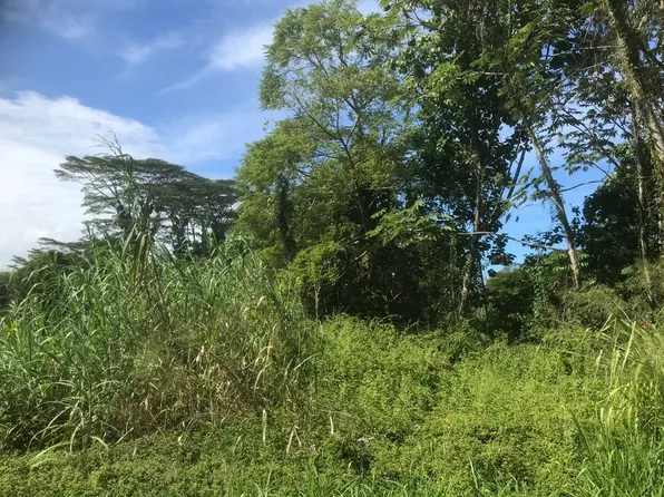 Kahakai Blvd Lot 22, Pahoa, HI 96778