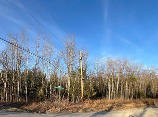 0 Left Branch Dry Run Rd, Pine City, NY 14871