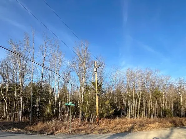 0 Left Branch Dry Run Rd, Pine City, NY 14871