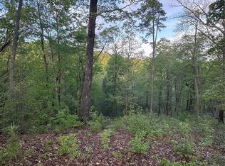 0 Willow Top Ln UNIT 315, Lake Lure, NC 28746