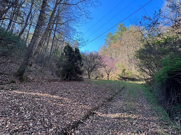 4th image of 116 Woods Edge Ln