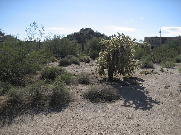 2nd image of 8841 E Palm Ln
