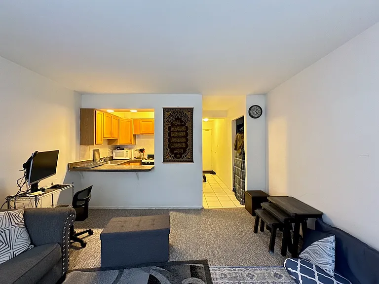 6830 N Sheridan Rd #962 — Photo 15