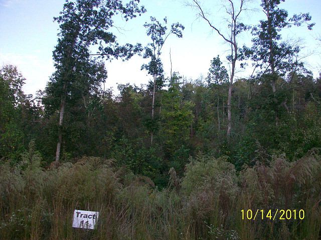 1st image of 275 Georgie Dr