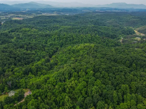 0 Looney Rd, Parrottsville, TN 37843