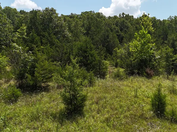 0 Mills Valley Boulevard, Marshfield, MO 65706