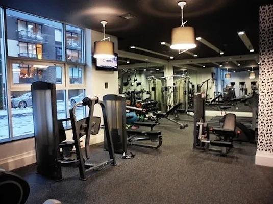 Rented by City View Living | media 25