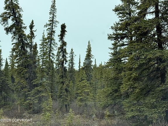 5th image of Mi 165 Glenn Hwy