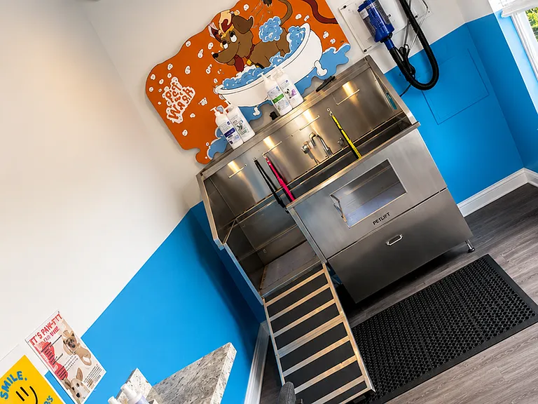 Dog Wash Station