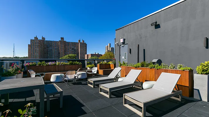 Rented by Nooklyn NYC LLC | media 41