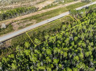 0 Tract Hwy #3-32, Hortense, GA 31543