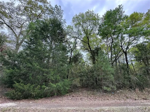 NE 154th Ave Lot 26, Williston, FL 32696
