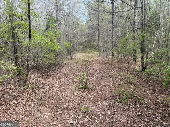 0 Walton Rd, Fort Valley, GA 31030