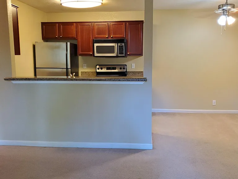 kitchen and dining