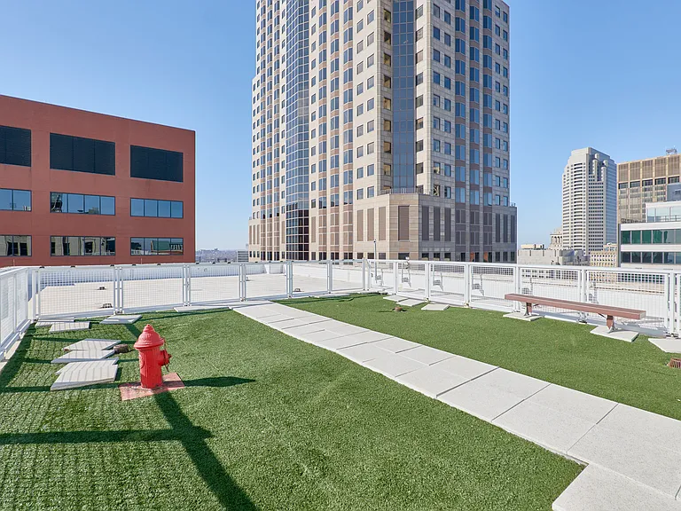 Rooftop Dog area