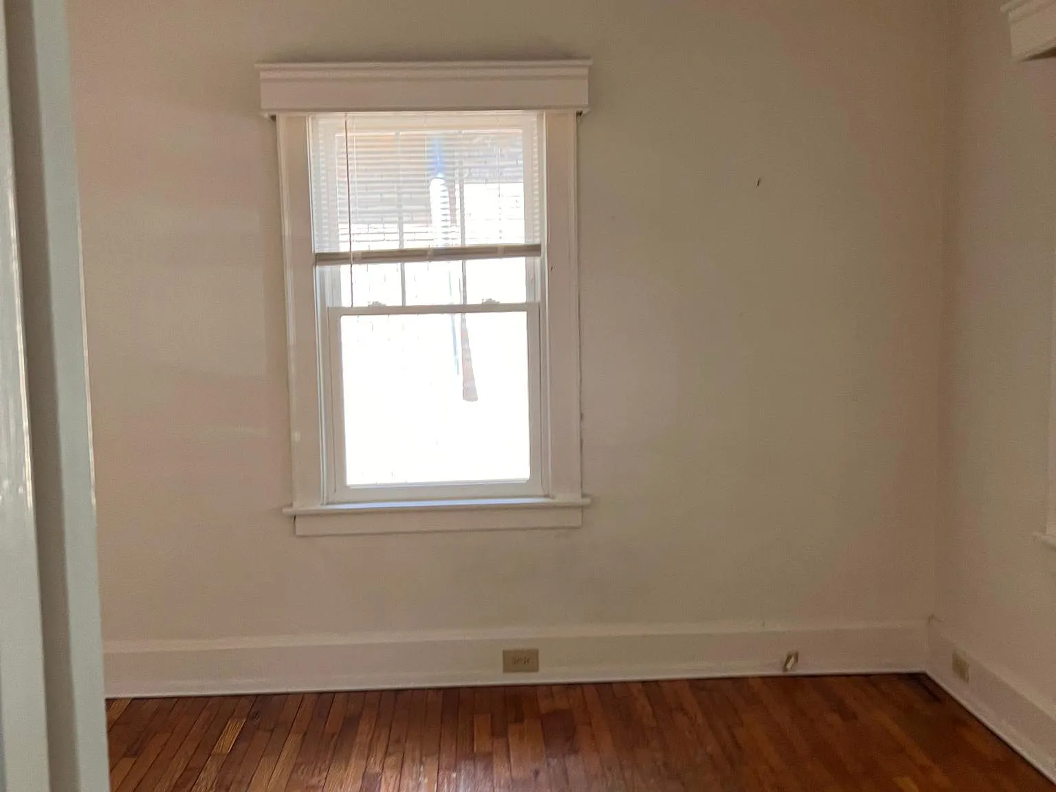 427 Kentucky Ct — Photo 4
