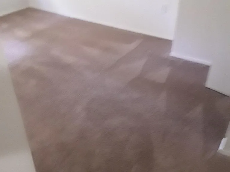 31 Beaver Oak Ct — Photo 12