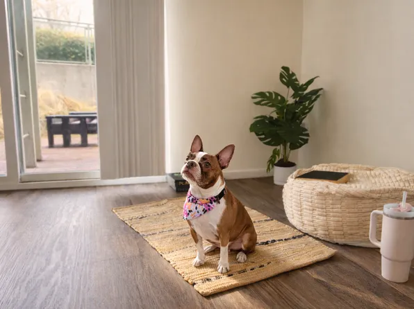 Capitol Reef Apartments