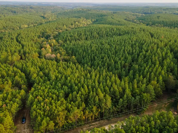 538 Seiber Ridge Rd, Hohenwald, TN 38462