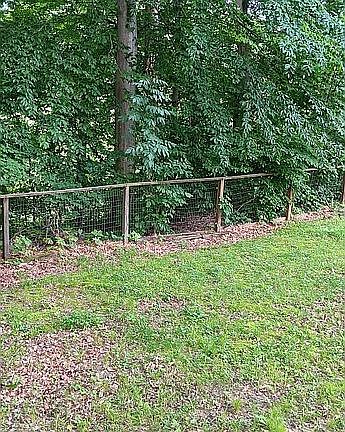 Backyard - Fence