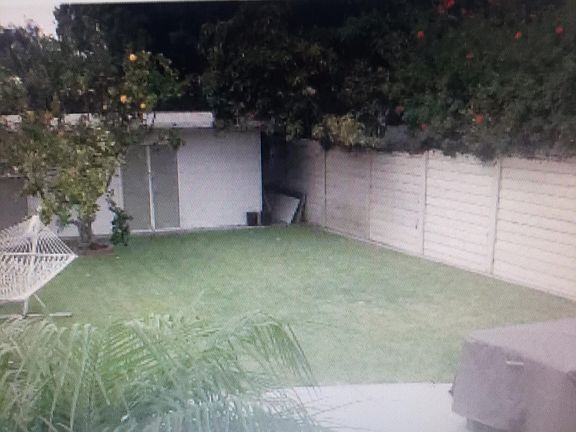 Right side of backyard showing lemon tree and storage included, for use with rental.