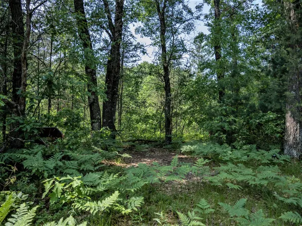 N15393 17th Ave, Necedah, WI 54646