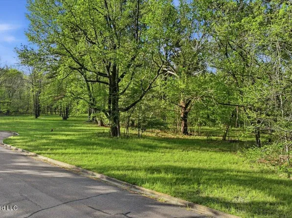 114 Bristol Ct Lot 20, Madison, MS 39110